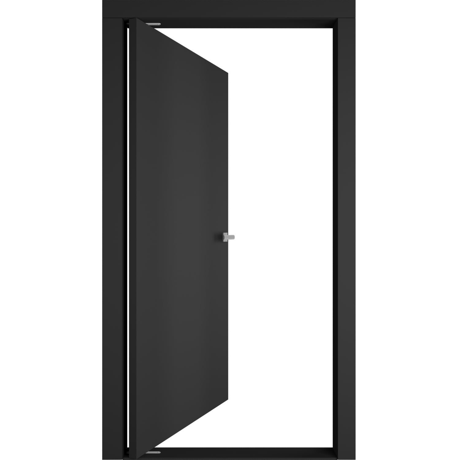 Planum 0010 Interior Pivot door view 2