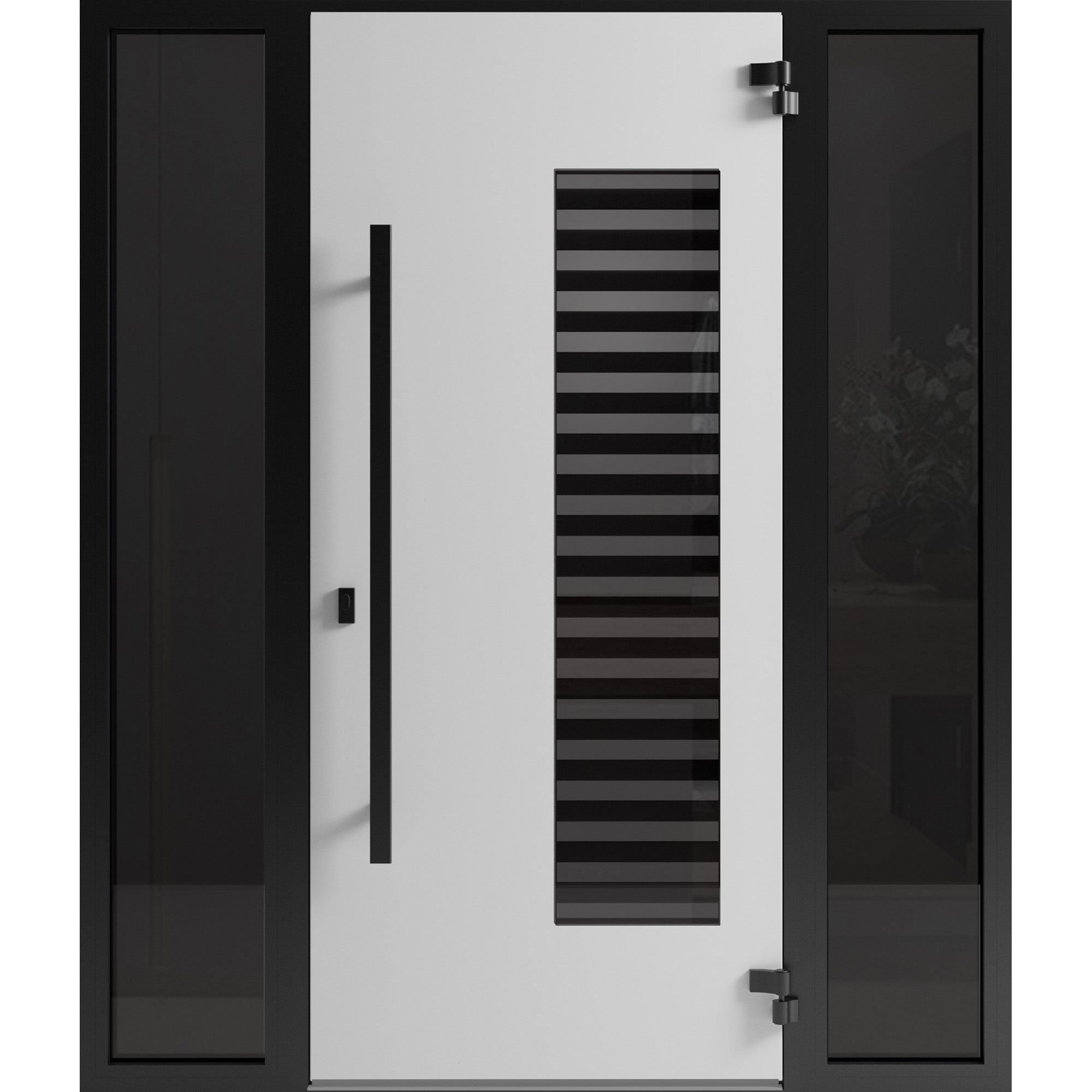 Ronex 0633 Exterior Aluminum door view 2