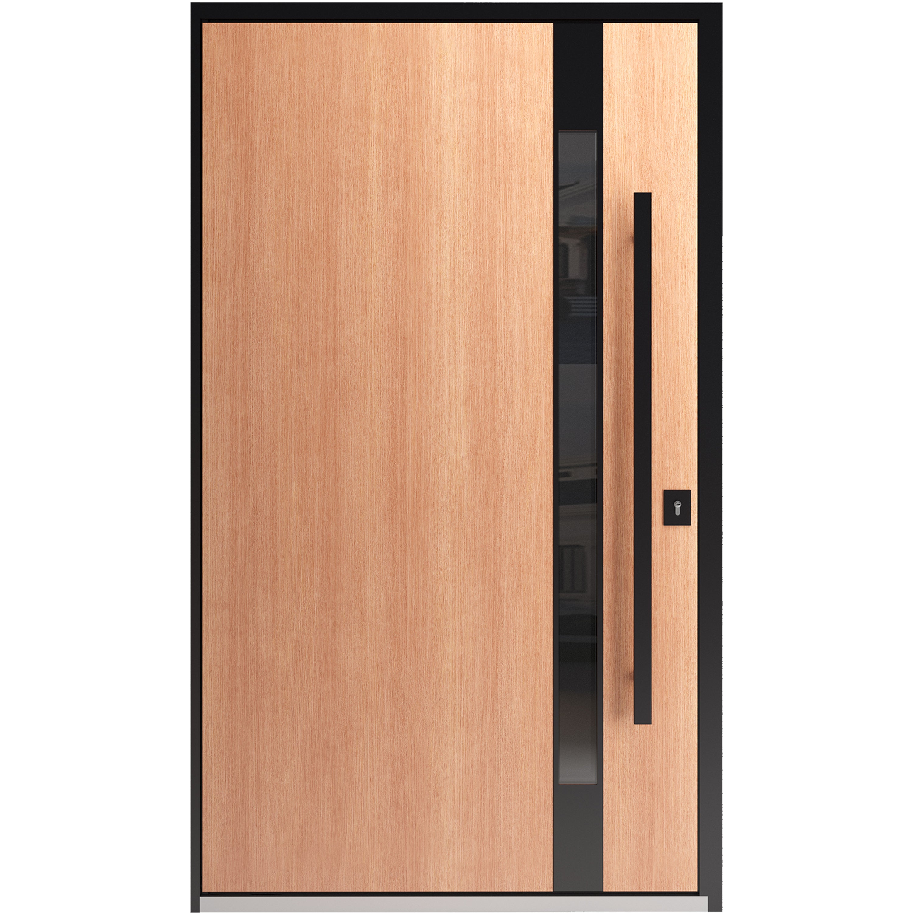 Axis 1133 Exterior Pivot door