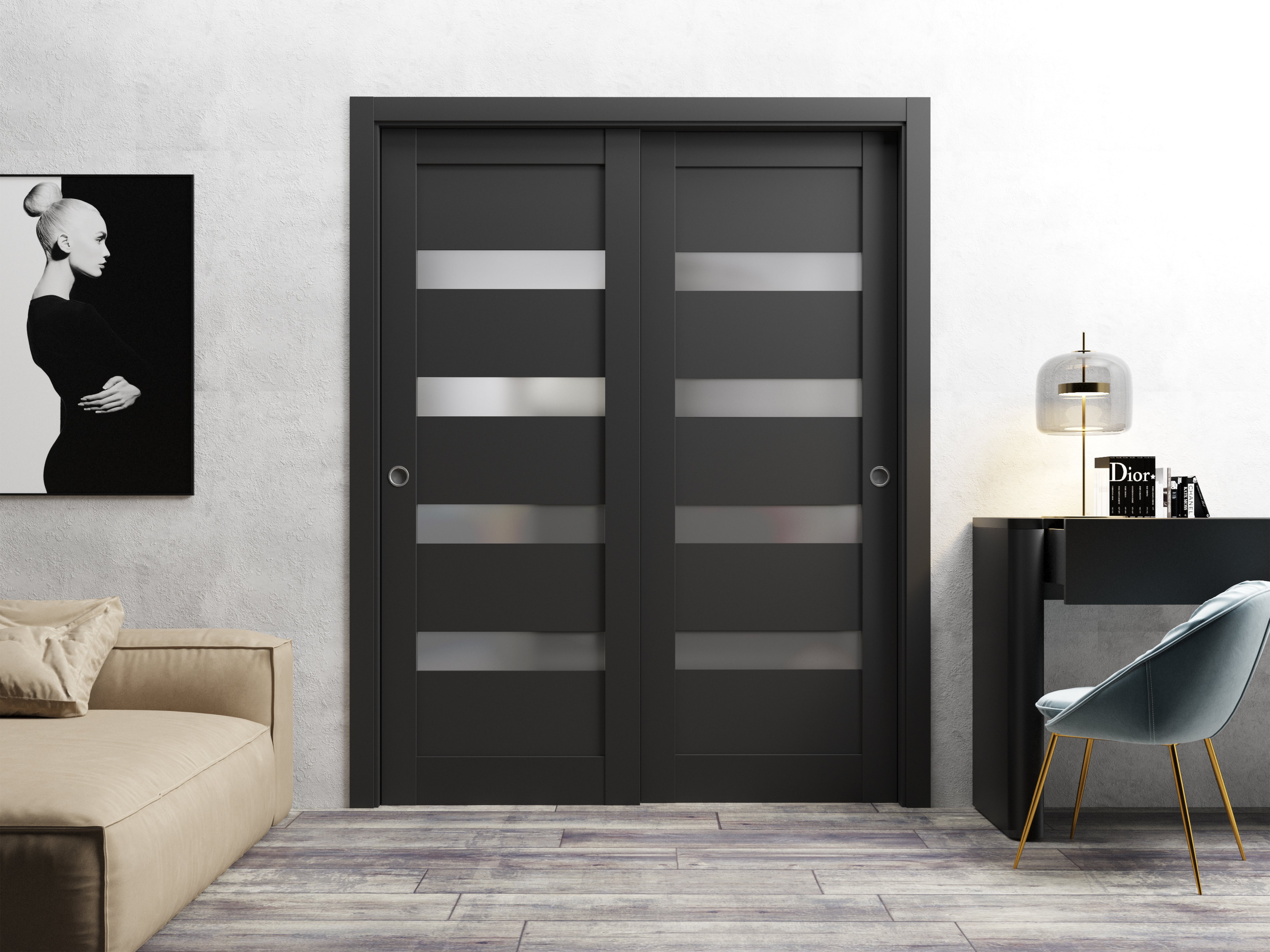 Model 4113 Bypass door view 2