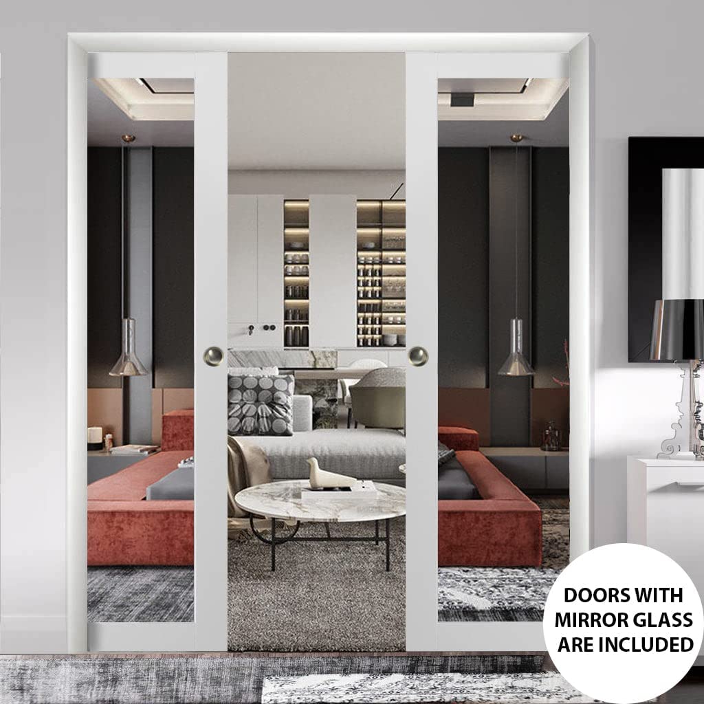 Lucia 1299 Double Pocket door view 5