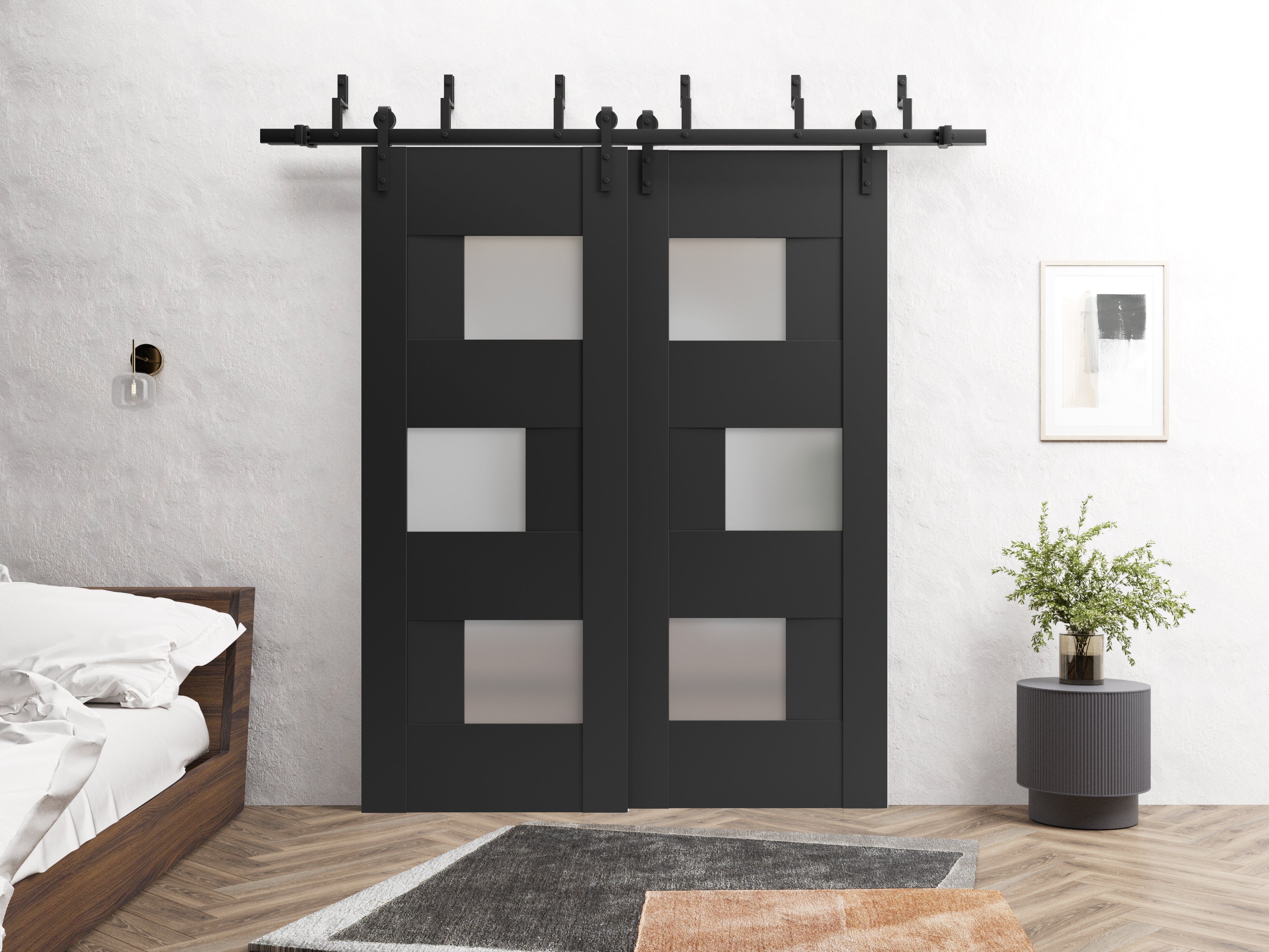 Sete 6933 Double Barn — Bypass door view 2