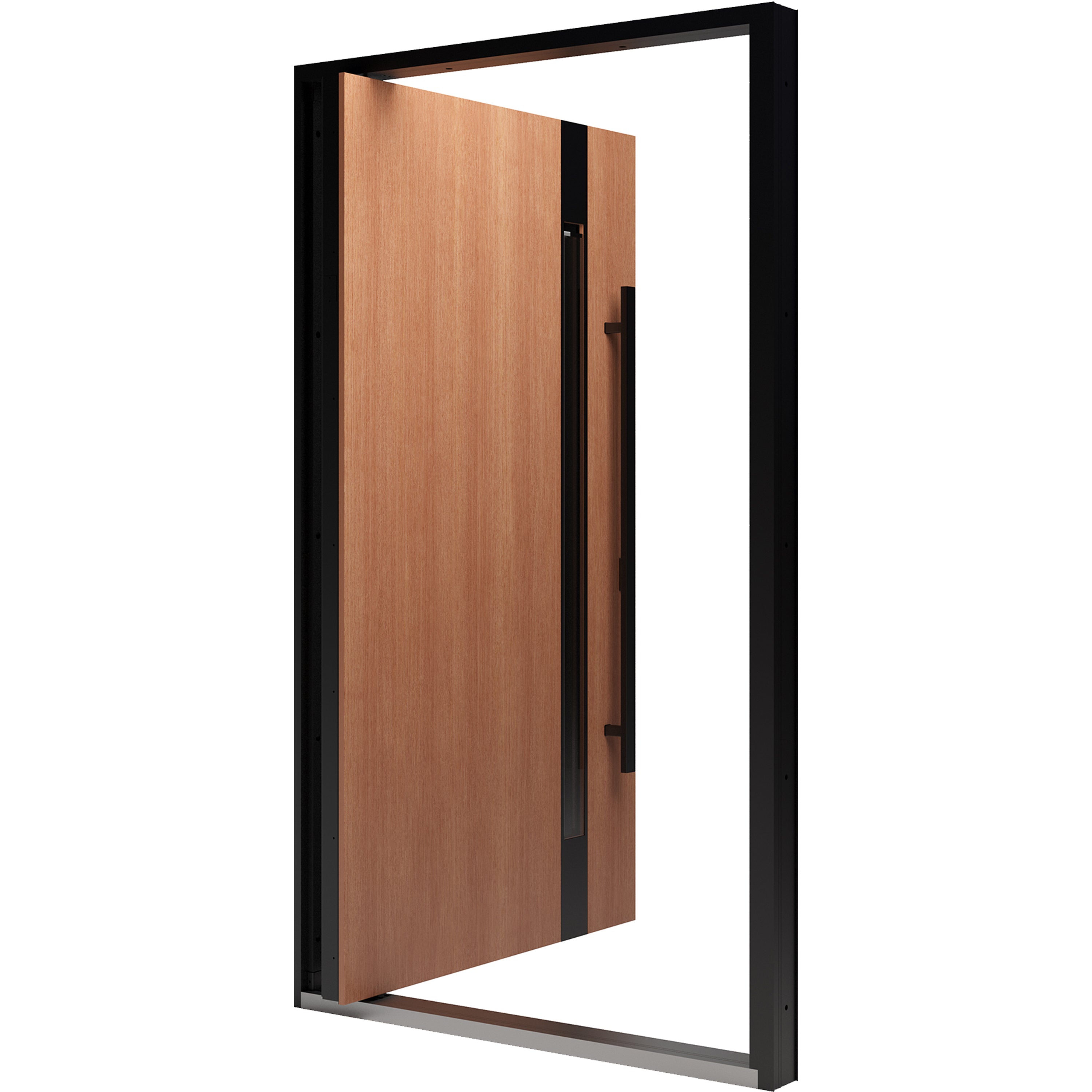 Axis 1133 Exterior Pivot door view 2
