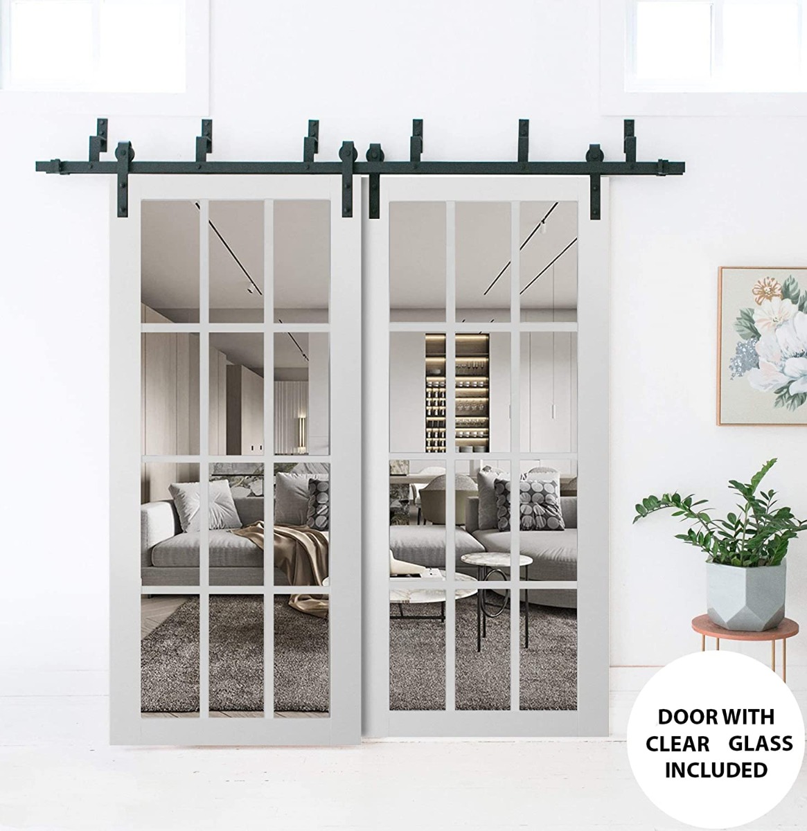Felicia 3355 Double Barn — Bypass door view 6