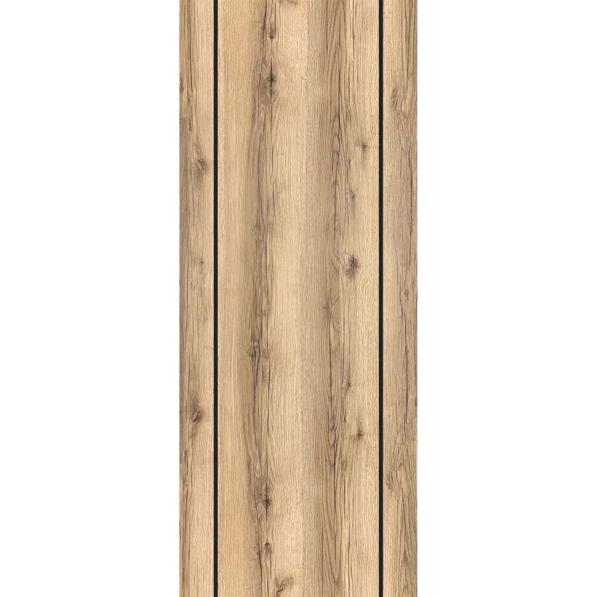 Planum 0017 Interior Slab door view 5