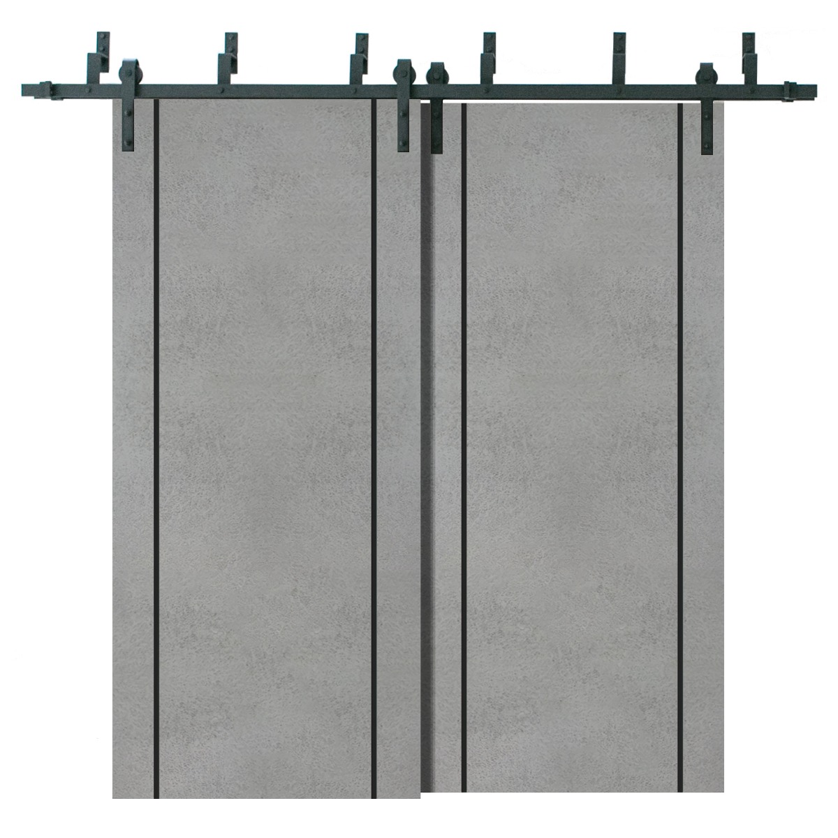 Planum 0017 Double Barn — Bypass door — Doors Near Me, Los Angeles