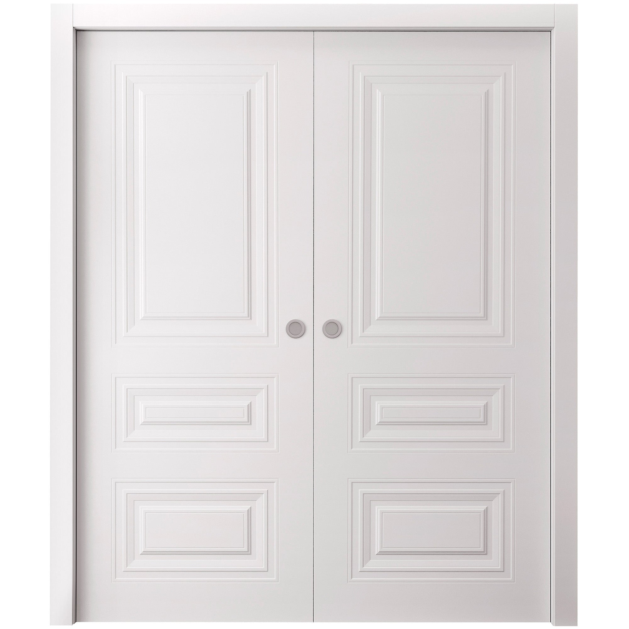 Basic 9233 Double Pocket door