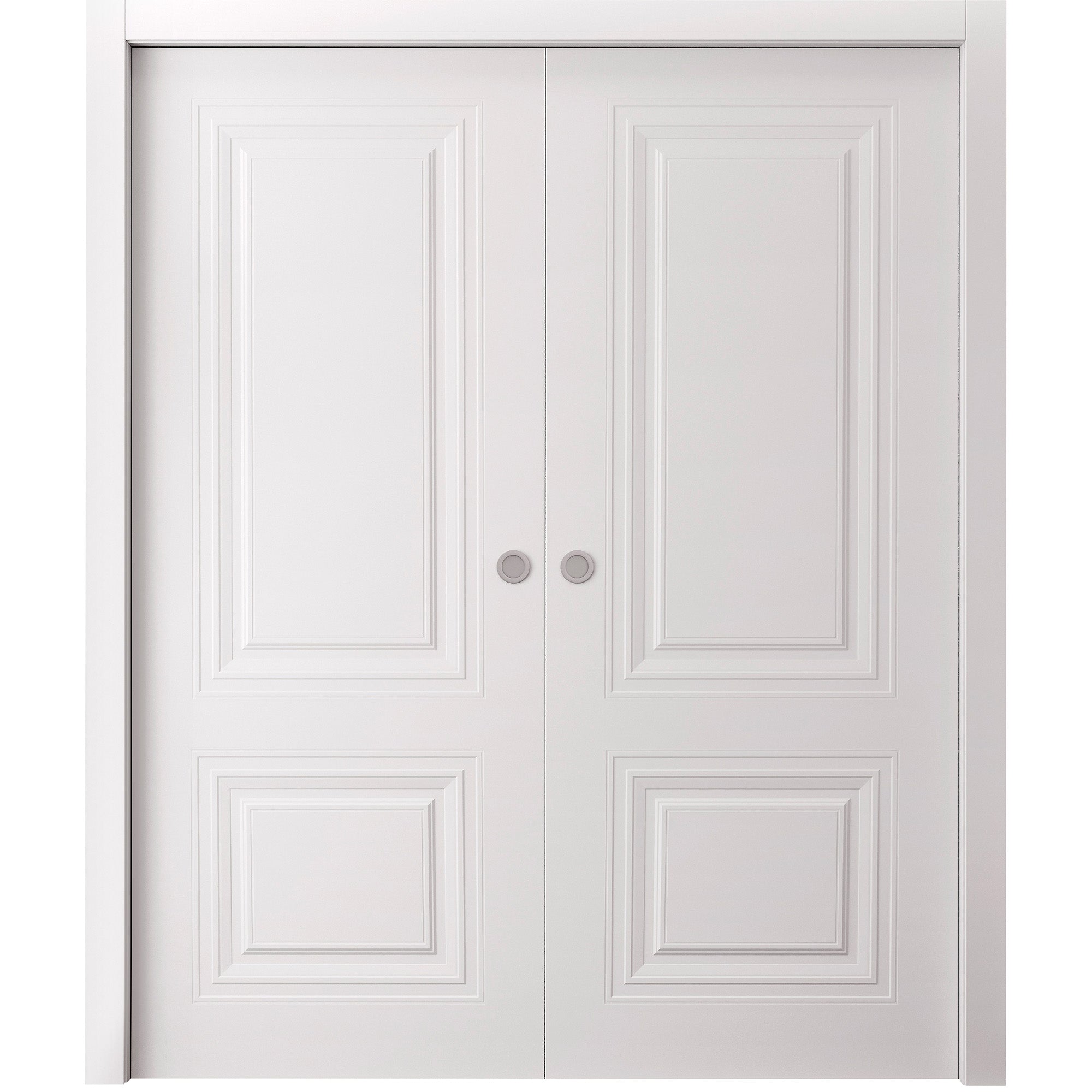 Basic 9772 Double Pocket door — Doors Near Me, Los Angeles