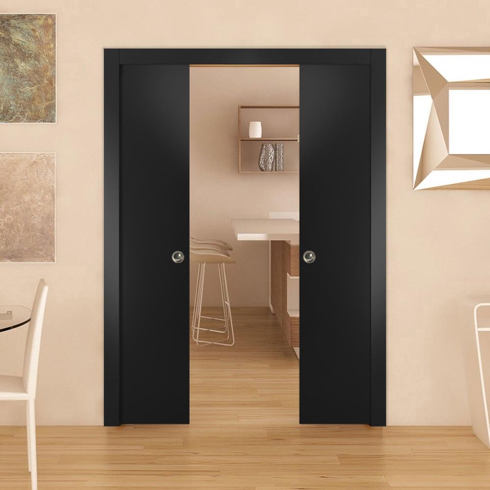 Planum 0010 Double Pocket door view 2