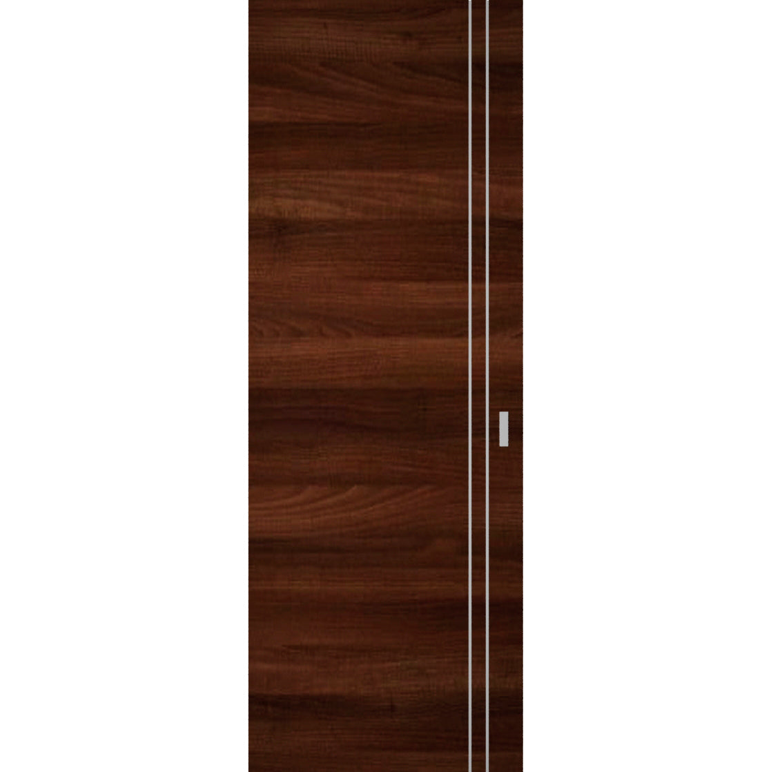 Planum 0310 Hidden Barn door view 5