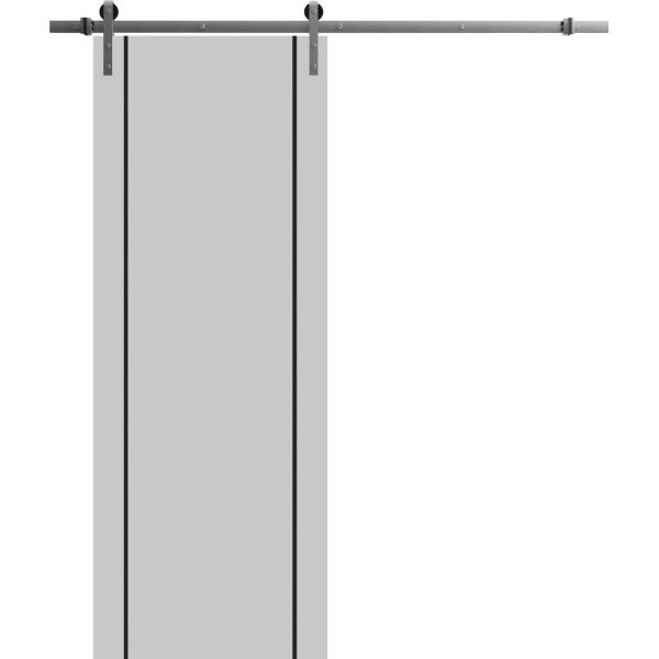 Sliding Barn Door with Stainless Steel 6.6ft Hardware | Planum 0017 Matte Grey | Rail Hangers Sturdy Silver Set | Modern Solid Panel Interior Doors