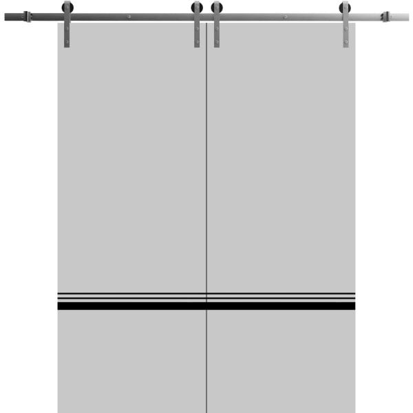 Sliding Double Barn Doors with Hardware | Planum 0012 Matte Grey | Silver 13FT Rail Hangers Sturdy Set | Modern Solid Panel Interior Hall Bedroom Bathroom Door