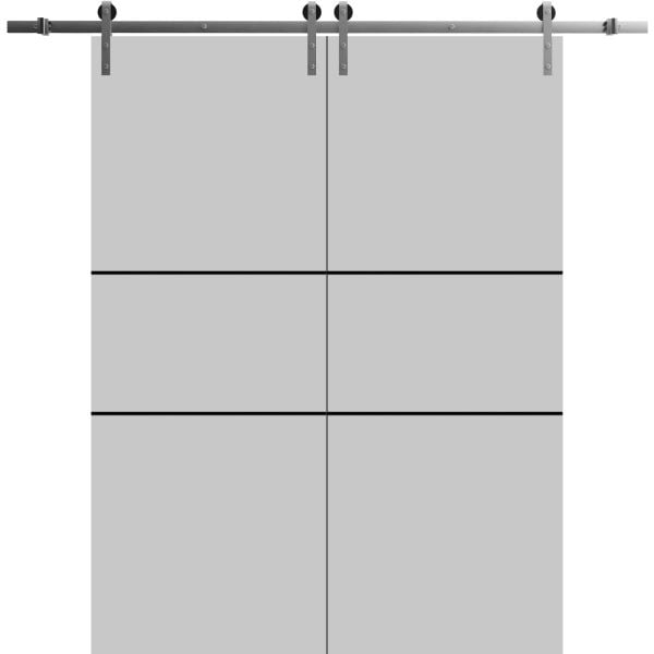 Sliding Double Barn Doors with Hardware | Planum 0014 Matte Grey | Silver 13FT Rail Hangers Sturdy Set | Modern Solid Panel Interior Hall Bedroom Bathroom Door