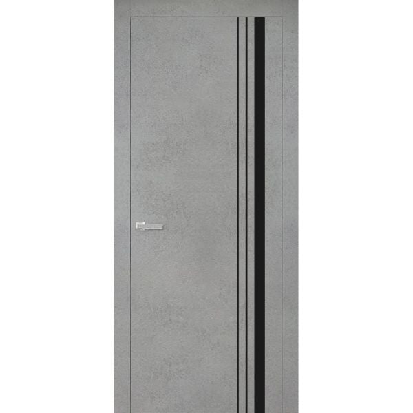 Modern Wood Interior Door with Hardware | Planum 0011 Concrete | Single Panel Frame Trims | Bathroom Bedroom Sturdy Doors