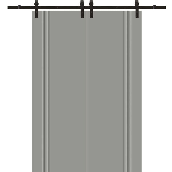 Modern Double Barn Door 56 x 84 inches | BASIC 0111 Dove Grey | 13FT Rail Track Set | Solid Panel Interior Doors