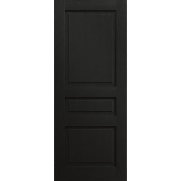 Slab Door Panel 18 x 80 inches | Ego 5012 Painted Black Oak | Wood Veneer Doors | Pocket Closet Sliding Barn