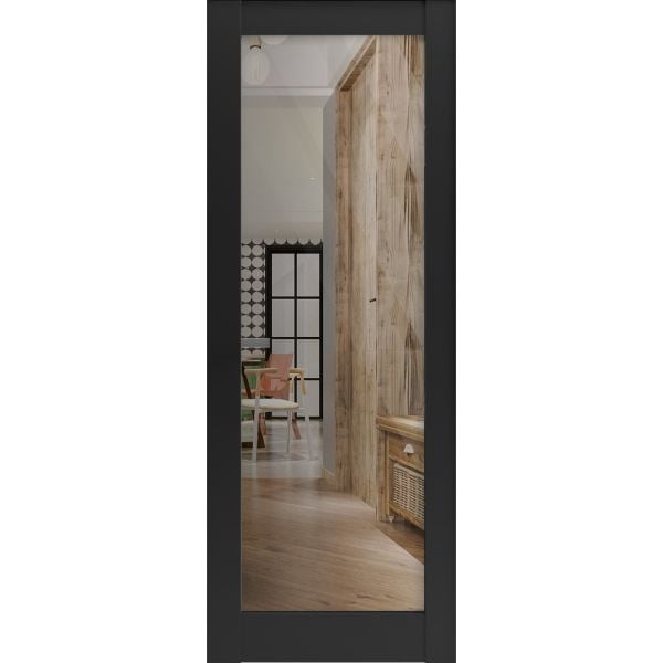 Slab Barn Door Panel Clear Glass | Lucia 2166 Matte Black | Sturdy Finished Doors | Pocket Closet Sliding