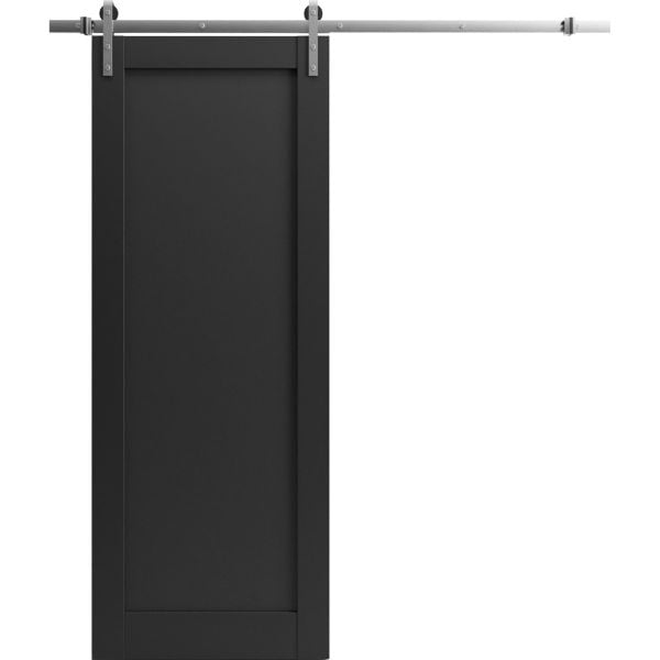 Sliding Barn Door Hardware | Quadro 4111 Matte Black | Silver 6.6FT Rail Hangers Sturdy Set | Lite Wooden Solid Panel Interior Doors