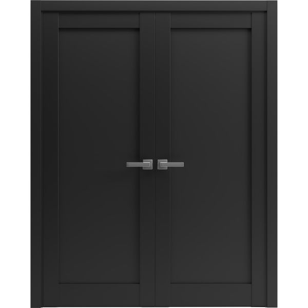 French Double Panel Lite Doors Hardware | Quadro 4111 Matte Black | Panel Frame Trims | Bathroom Bedroom Interior Sturdy Door