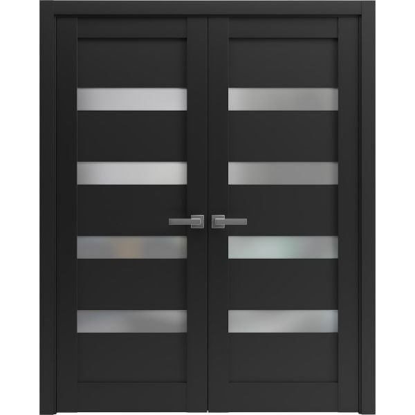 French Double Panel Lite Doors with Hardware | Quadro 4113 Matte Black with Frosted Glass | Panel Frame Trims | Bathroom Bedroom Interior Sturdy Door