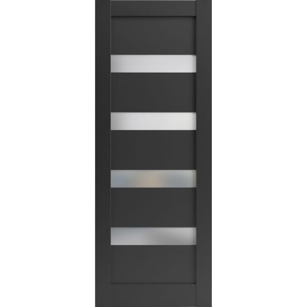 Lite Slab Barn Door Panel | Quadro 4113 Matte Black with Frosted Opaque Glass | Sturdy Finished Wooden Modern Doors | Pocket Closet Sliding