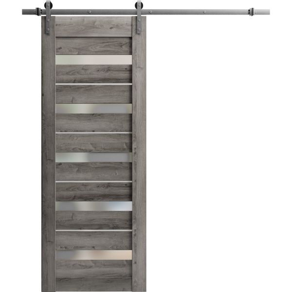 Sturdy Barn Door Frosted Glass | Quadro 4445 Nebraska Grey | 6.6FT Silver Rail Hangers Heavy Hardware Set | Solid Panel Interior Doors