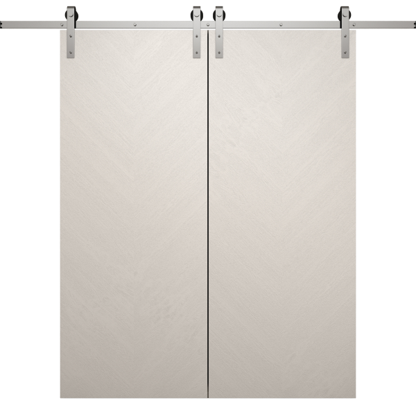 Modern Double Barn Door 36 x 80 inches | Ego 5005 Painted White Oak | 13FT Silver Rail Track Set | Solid Panel Interior Doors