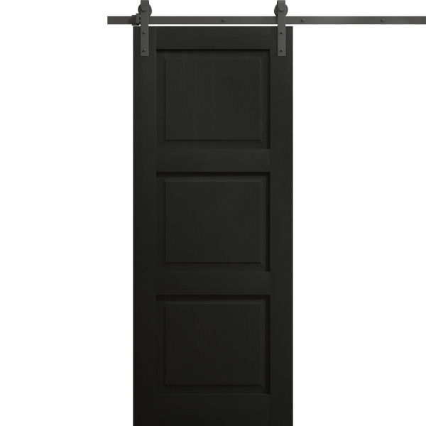 Modern Barn Door 18 x 80 inches | Ego 5010 Painted Black Oak | 6.6FT Rail Track Heavy Hardware Set | Solid Panel Interior Doors