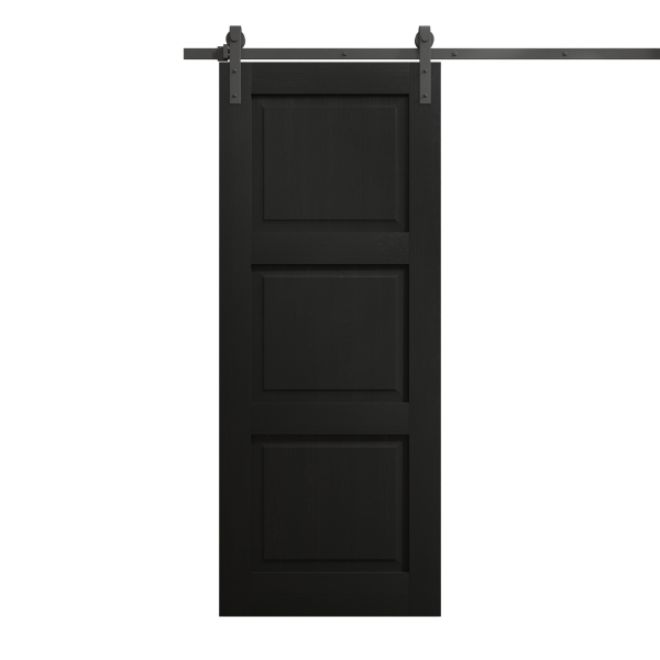 Modern Barn Door 42 x 80 inches | Ego 5010 Painted Black Oak | 8FT Rail Track Heavy Hardware Set | Solid Panel Interior Doors