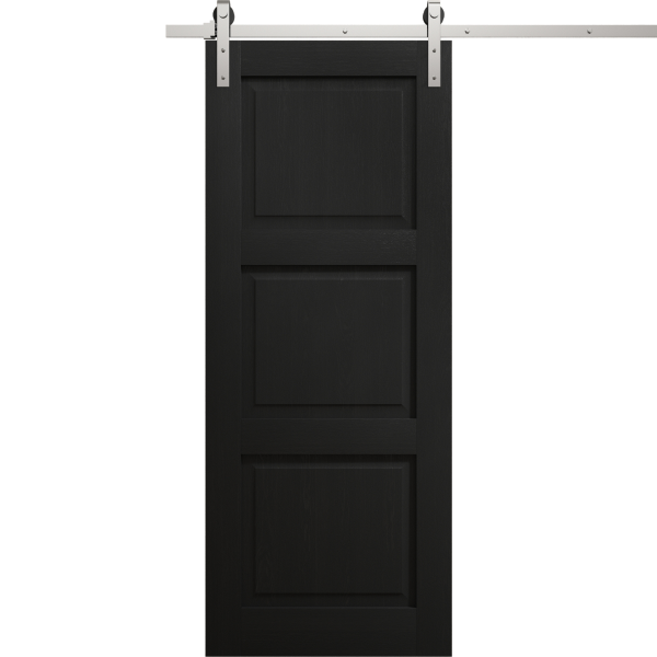 Modern Barn Door 18 x 80 inches | Ego 5010 Painted Black Oak | 6.6FT Silver Rail Track Heavy Hardware Set | Solid Panel Interior Doors
