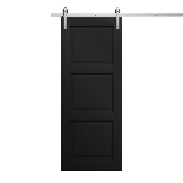 Modern Barn Door 36 x 80 inches | Ego 5010 Painted Black Oak | 6.6FT Silver Rail Track Heavy Hardware Set | Solid Panel Interior Doors