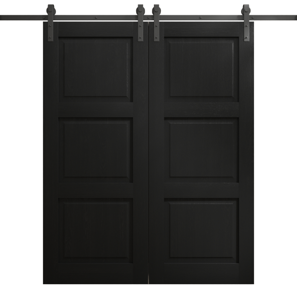 Modern Double Barn Door 36 x 80 inches | Ego 5010 Painted Black Oak | 13FT Rail Track Set | Solid Panel Interior Doors