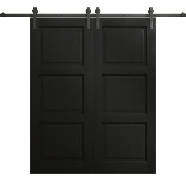 Modern Double Barn Door 36 x 80 inches | Ego 5010 Painted Black Oak | 13FT Rail Track Set | Solid Panel Interior Doors