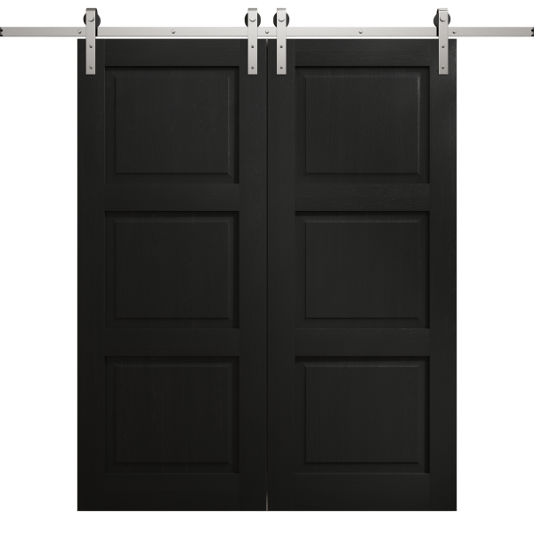 Modern Double Barn Door 36 x 80 inches | Ego 5010 Painted Black Oak | 13FT Silver Rail Track Set | Solid Panel Interior Doors