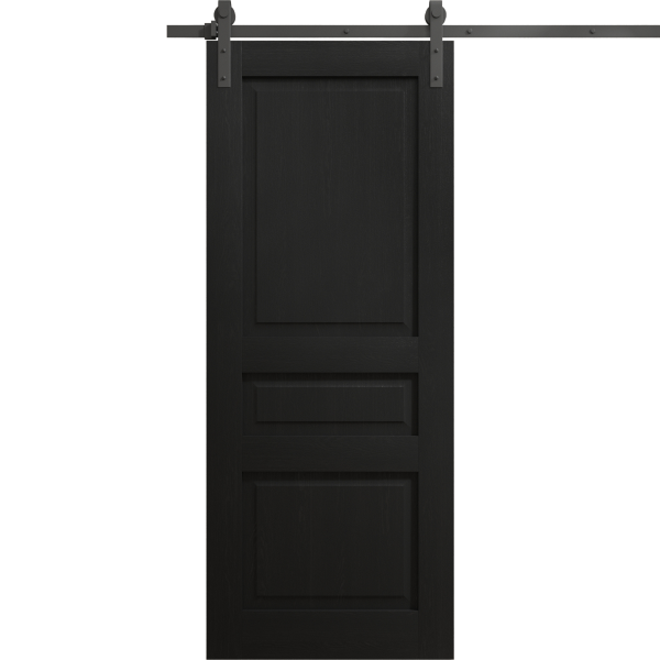 Modern Barn Door 18 x 80 inches | Ego 5012 Painted Black Oak | 6.6FT Rail Track Heavy Hardware Set | Solid Panel Interior Doors