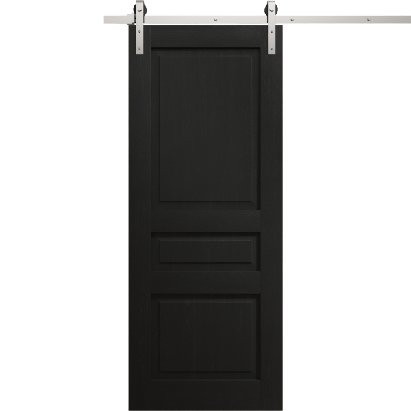 Modern Barn Door 18 x 80 inches | Ego 5012 Painted Black Oak | 6.6FT Silver Rail Track Heavy Hardware Set | Solid Panel Interior Doors