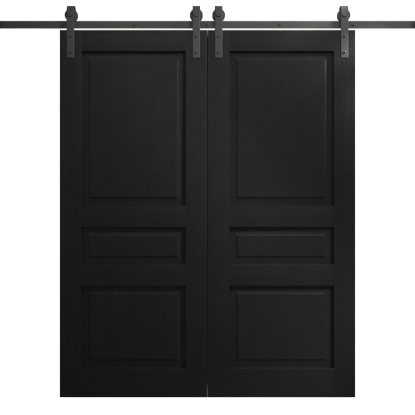 Modern Double Barn Door 36 x 80 inches | Ego 5012 Painted Black Oak | 13FT Rail Track Set | Solid Panel Interior Doors
