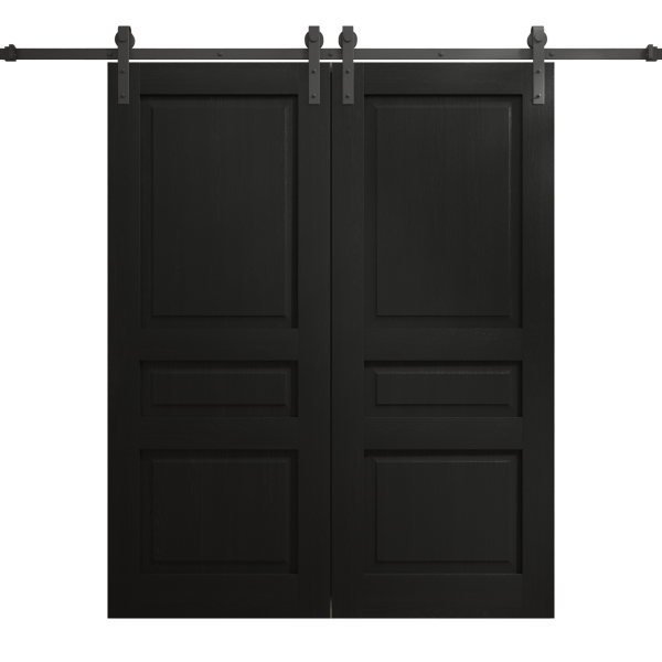 Modern Double Barn Door 60 x 84 inches | Ego 5012 Painted Black Oak | 13FT Rail Track Set | Solid Panel Interior Doors