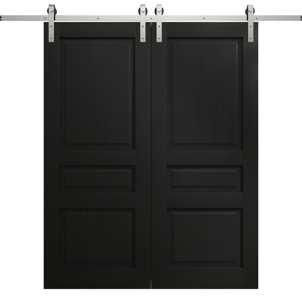 Modern Double Barn Door 36 x 80 inches | Ego 5012 Painted Black Oak | 13FT Silver Rail Track Set | Solid Panel Interior Doors