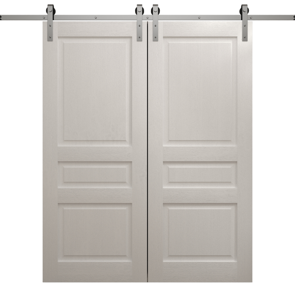 Modern Double Barn Door 36 x 80 inches | Ego 5012 Painted White Oak | 13FT Silver Rail Track Set | Solid Panel Interior Doors