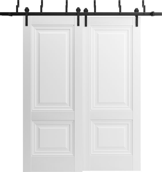 Barn Bypass Doors with 6.6ft Hardware | Lucia 8831 White Silk with | Sturdy Heavy Duty Rails Kit Steel Set | Double Sliding Lite Panel Door -36" x 80" (2* 18x80)