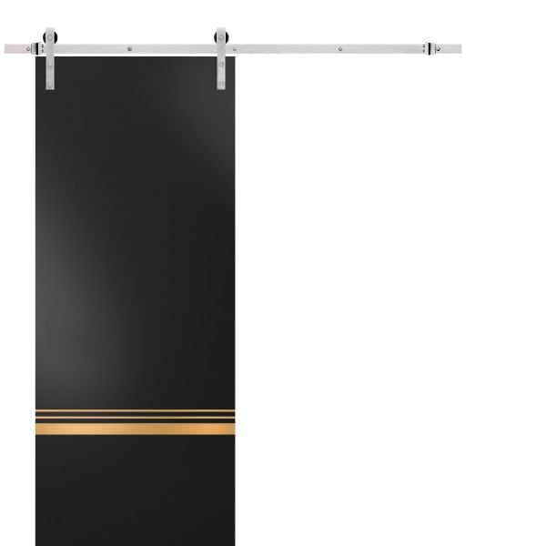 Sturdy Barn Door with Hardware | Planum 2010 Black Matte | 6.6FT Stainless Steel Rail Hangers Heavy Set | Modern Solid Panel Interior Doors