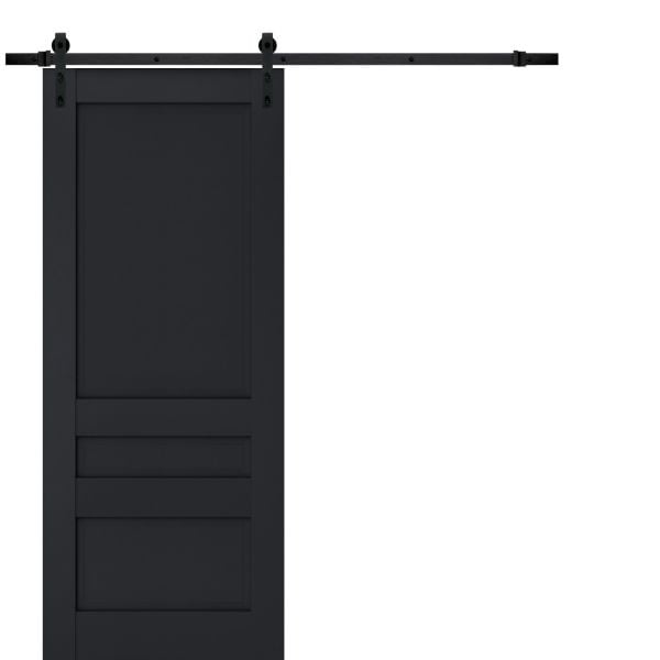 Sturdy Barn Door | Veregio 7411 Antracite | 6.6FT Rail Hangers Heavy Hardware Set | Solid Panel Interior Doors-18" x 80"-Black Rail