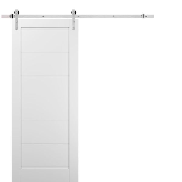 Sliding Barn Door with 6.6ft Hardware | Quadro 4115 White Silk | Rail Hangers Sturdy Silver Set | Wooden Solid Panel Interior Doors-24" x 80"-Silver Rail