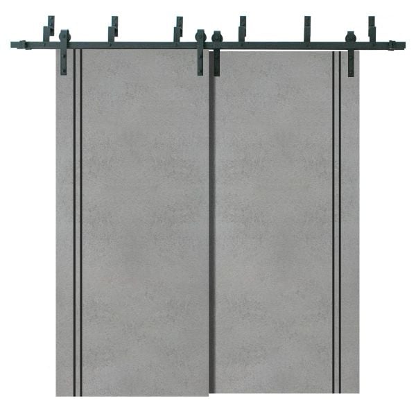 Barn Bypass Doors with 6.6ft Hardware | Planum 0016 Concrete | Sturdy Heavy Duty Rails Kit Steel Set | Double Sliding Door