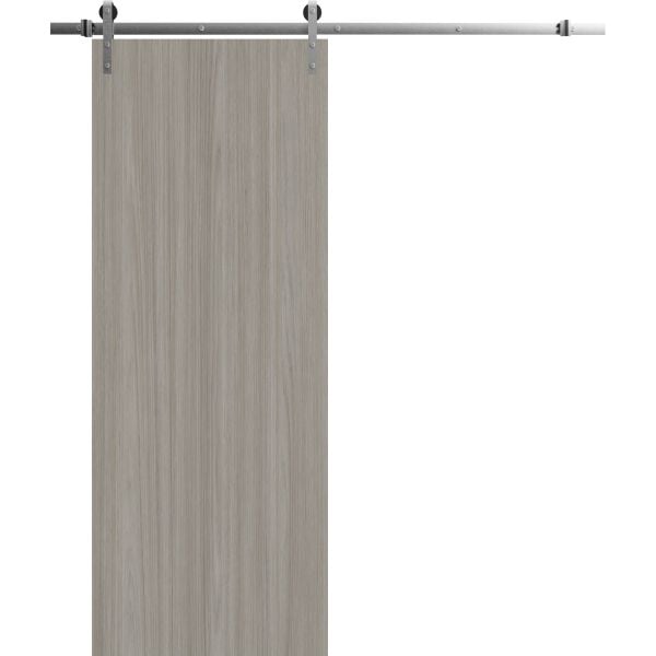 Modern Barn Door 28 x 80 inches | BASIC 3001 Oak | 6.6FT Silver Rail Track Heavy Hardware Set | Solid Panel Interior Doors