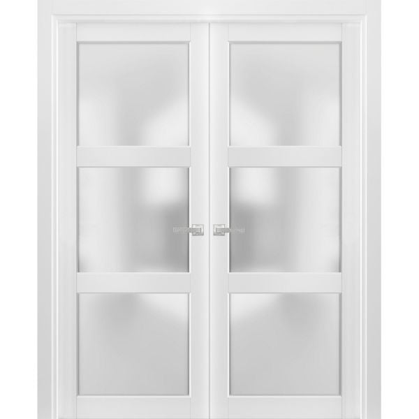 French Double Panel Lite Doors with Hardware | Lucia 2552 White Silk with Opaque Glass | Panel Frame Trims | Bathroom Bedroom Interior Sturdy Door 