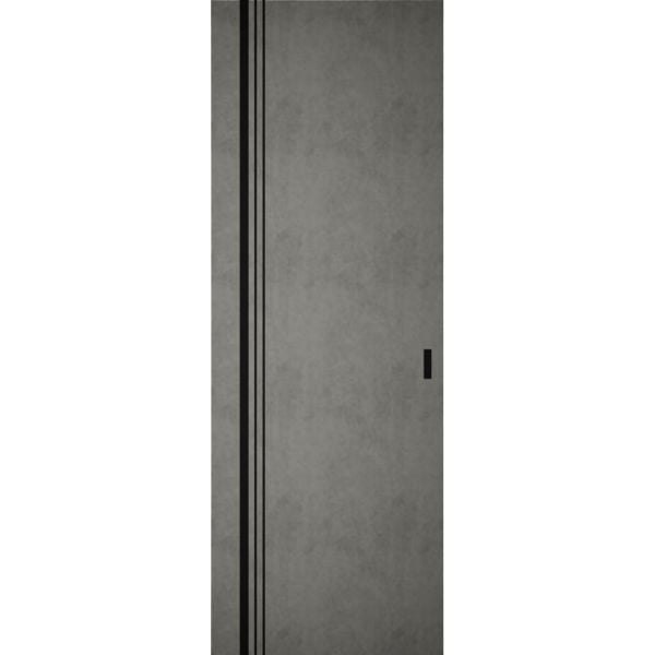 Hidden Barn | Planum 0011 Concrete | Sturdy Finished Flush Modern Doors | Magic Concealed Sliding Set 36" x 96"