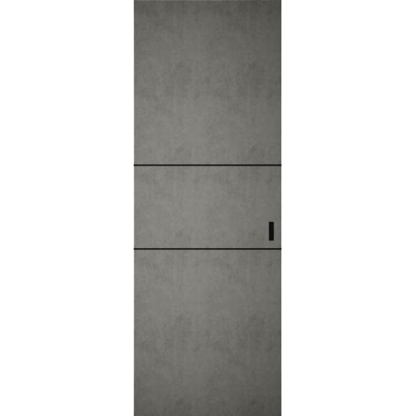 Hidden Barn | Planum 0014 Concrete | Sturdy Finished Flush Modern Doors | Magic Concealed Sliding Set 36" x 96"