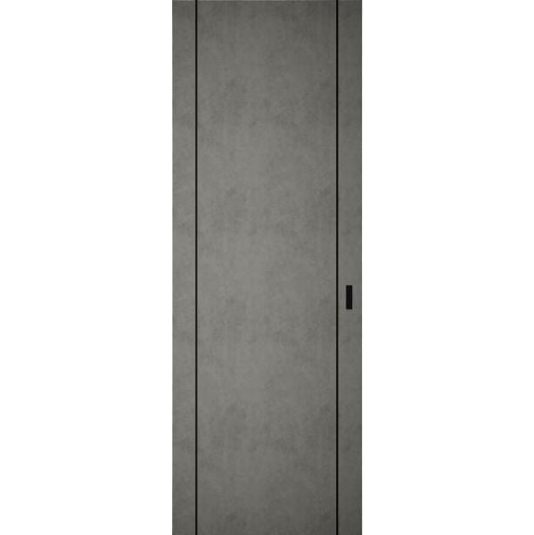 Hidden Barn | Planum 0017 Concrete | Sturdy Finished Flush Modern Doors | Magic Concealed Sliding Set 24" x 80"